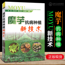 Genuine spot konjac disease-resistant planting new technology konjac disease-resistant planting books planting textbooks books konjac disease-resistant planting knowledge encyclopedia of agricultural basic science and technology planting best-selling books