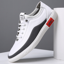 Hong Kong 2020 new genuine leather small white shoes male Korean version 100 hitch soft bottom casual shoes leather breathable plate shoe tide