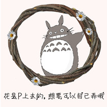 Apple Wood Bite Ring Dragon Cat Drill Circle Training Safety Game Grinders Toy Jump Ring Dragon Cat Interactive Parrot Rings