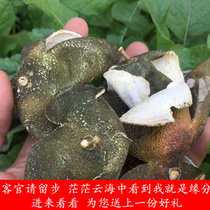 Chinese herbal medicine new four-flower Blue Peel Green Tangerine Peel 500g green orange peel dry orange peel small green skin