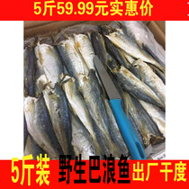 5kg affordable price Fujian specialty cooked Balang fish semi-dry humidity salted fish fish fish fish fifty dry dry