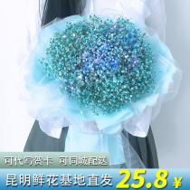 Blue star dried flower size bouquet Net red same model to send girlfriend boyfriend boyfriend birthday gift graduation photo