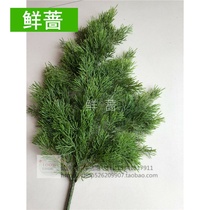 Artificial cypress leaves Pine and cypress leaves Bonsai plant trees Make fake leaves Pine branches decorate fake flowers evergreen leaves