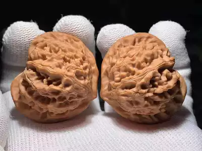 Wenwen Walnut Tianjin Jixian Yuxi Lion Head Flying Toad Wild Toad Wild Toad Small Small