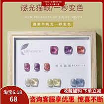 Ice-caron light-sensitive cat eye gum nail polish gel 2021 new 100 new chameleon trampoline cat eyes mealshop special suit