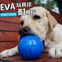 Dog Toy Large and large dog gold wool Labrador Alaska solid grindstone resistant to bite training floating water elastic ball
