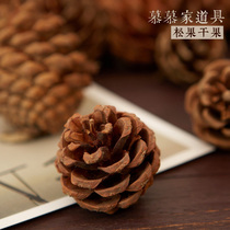ins wind shooting background photography decoration pine nuts baking food skin-care products photo props creative pendulum ornament