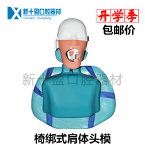 Oral teaching simple head model dental fake head model simulation shoulder head mould preparation practice