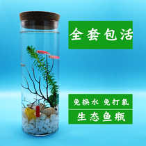 Ecological Fish Bottle Living Tropical Small Freshwater Cold Water Zebra Fish Ornamental Goldfish Living Things with vat without changing water
