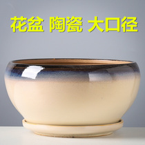 Flower pot ceramic large diameter with tray Phalaenopsis orchid green dill special clearance home creative multi-meat flower pot
