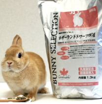 April 23 Japans original silver piano rabbit food Gnome rabbit cat cat Rabbit Pet rabbit special main food 1 3kg