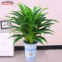 Simulation green plant fake tree Indoor floor decoration Simulation flower fake flower living room bonsai planting ornaments Brazilian iron dancing orchid