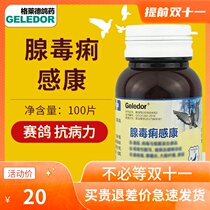 Glide Pigeon (Aden Xiang Kang) 100 tablets of water and green stool paratyphoid fever Escherichia coli
