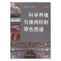 Genuine spot scientific pig raising and pig disease prevention primary color map second edition Xu Yusheng pig technology books pig disease diagnosis and treatment map book diagnosis and prevention books efficient pig raising Books