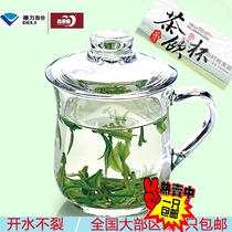 Green apple glass tea cup with lid Tea cup with lid Cup with handle cup Household glass Green tea water cup