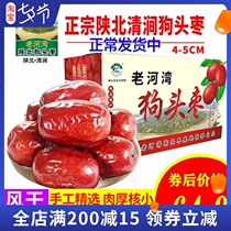Dogs head jujube Shaanxi specialty premium Northern Shaanxi Yanan Qingjian jujube 5 kg bulk new goods 2500g big red jujube free-washing