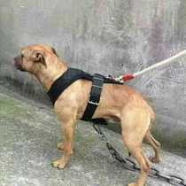 Multi-function strap