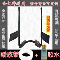 Du Bing dog ear erect to correct pet dog support Correction correction corrector