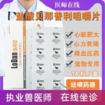 Pet Benazepril Hydrochloride Chewable Tablets for Canine Hypertrophy Dogs Heart Failure Cardiac Drugs F5 Cardiac Drugs