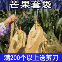 Set of mango paper bag mango special bag anti-disease insect-proof bird Mango bag rainwater-proof bag