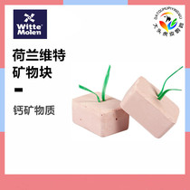 Imported Dutch Witte magic wheel Parrot Bird with grinding mouth calcium supplement nutrition mineral bite toy tiger skin Xuanfeng etc.