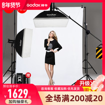 Shenniu SK400IIW studio flash two lights photography lamp set studio portrait large furniture photo