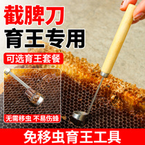 Yukons Spleen Knife in bee-free transfer bug tool full set of artificial breeding trump bees to take spleen and beekeeping tools