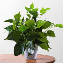 Simulation Green Loo Potted Flowers Plant Interior Decoration Plastic Flowers Small Potted tabletop furnishing green loo green plant bonsai