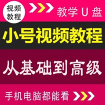 Beginner self-study trumpet playing trumpet playing instrument teaching Beginner zero-based entry Beginner video USB disk