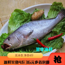 min yu frozen min yu min yu mi yu frozen mi yu su dong yu chilled fish min yu m fish frozen fish 2000g