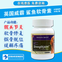 British Buddha v glucose cartilin ingots promote the growth of CHD in dog joint cartilage