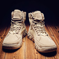 Martin boots mens high mens shoes autumn tide 2021 new leather Middle help snow desert boots mens overwear boots