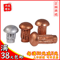 Sign Aluminum Rivet Traffic Sign Copper Rivet Solid Vertical Screw M2.5 M4M2M3*4x5x6x8x10