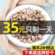 Fresh White melon seeds without sand sand sand small clams sea melon seeds Zhoushan fresh seafood aquatic shellfish fresh melon seeds
