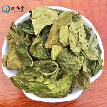  Cream dried mulberry leaf Chinese herbal medicine 500g Cream mulberry leaf tea Fresh cream beaten dried mulberry leaf Dried mulberry leaf powder