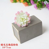Simulation multi-meat plant pendulum piece fake multi-meat combined sand tray building with view micro landscape accessory table table modern home decoration