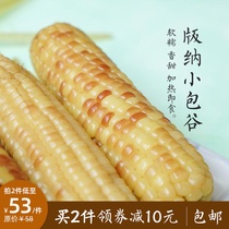 Half full good taste Banna small Bao Gu sweet small glutinous corn cooked food heating instant Yunnan straight hair