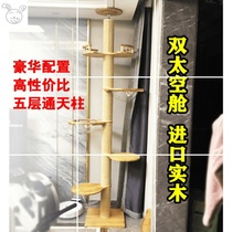 Tongtianzhu cat climbing frame space capsule Luxury large solid wood sword hemp cat climbing frame Cat nest Cat tree one of the top of the earth