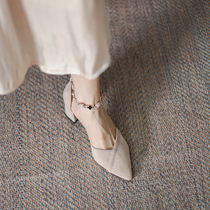 Coarse heel single shoe woman 2022 new Korean version casual fashion coarse heel 100 paired with skirt pointed high heels female spring and autumn