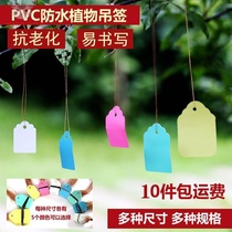 Sign on the tree Green Planting Introduction Card Hanging Flower Recognition Hanging Sign Plant Trees Recognition Gardening