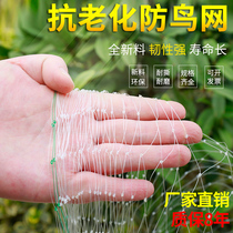 Agricultural greenhouse bird-proof nylon wire mesh outdoor silk screen Skynet Orchard mesh fruit tree cover Multi-meat balcony bird-proof net