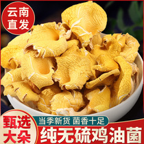 Yunnan earth mushroom bauyan mushroom flagship store soup material yellow fungus fungus dry goods 500g