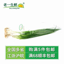 (Old one fresh) fresh shallot rice shallots 250g