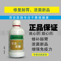 Kegeon Eco Live Bacteria Dove Supplies Inhibit Pigeon Parasite Propagation Regulation Gastrointestinal Function