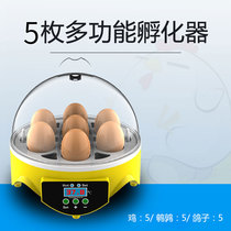 Artificial parrot incubator egg incubator egg incubator multi-function