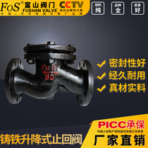 Cast iron check valve flange connection lifting type Shanghai Toyama H41T-16