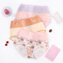 (Brown bear joint name) Finty underwear women high waist waist cotton cotton cotton antibacterial crotch Japanese girl breifs
