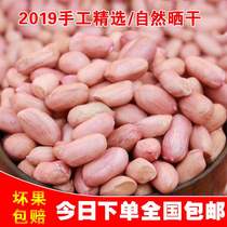 2021 New Peanut Rice Raw Peanuts Wholesale Dry Peanut Rice Fresh River South Large Grain to shell peanut Rente Price