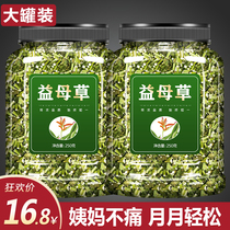 Motherwort fresh dried Chinese herbal medicine soak foot bag paste powder soak water drink edible aunt conditioning with brown sugar ginger to make tea