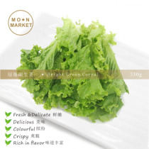 Green coral lettul Bright Green Corral 350g